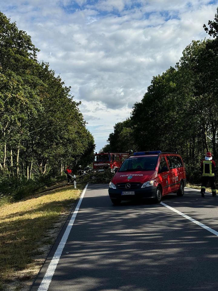 TH klein Baum auf Straße